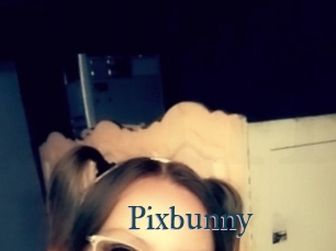 Pixbunny