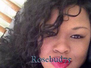 rosebud75 Femmes Matures